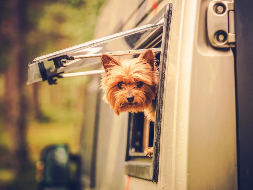 Book Your PetFriendly RV Trip Today