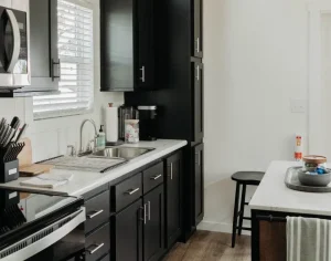 Cabin 1 The Secretariat (4) Large