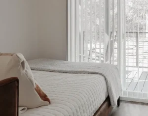 Cabin 3 Sea Biscuit (8) Large