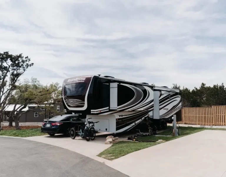 Deluxe Back In (3) Large