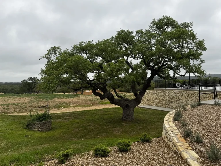 Photo Apr 06 2024, 11 09 32 AM Large