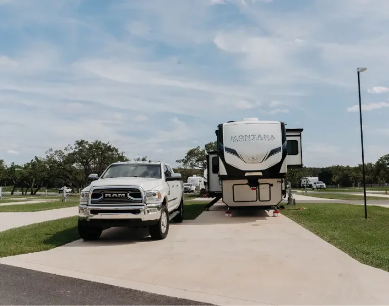 Premium Back In Large