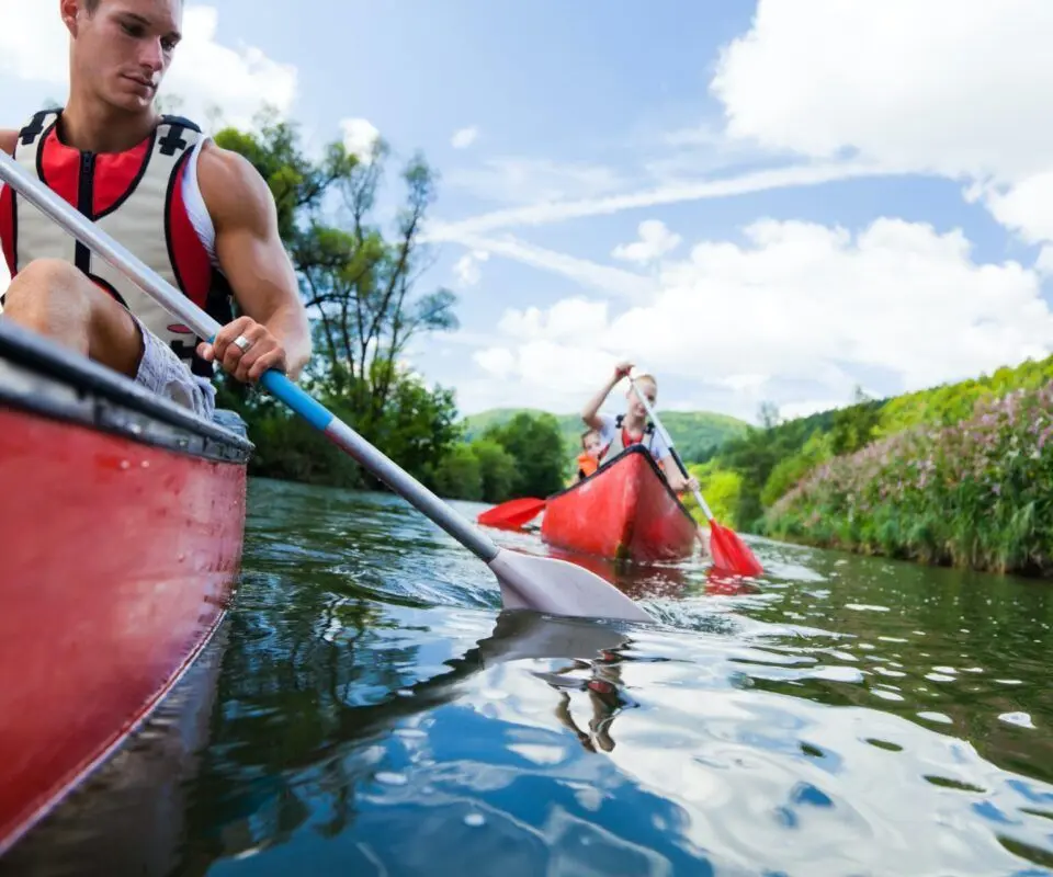 people kayaking in a river
