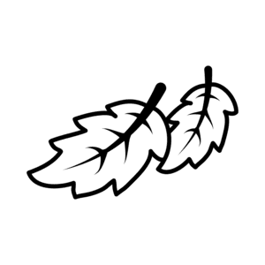 fall icon  leaves falling