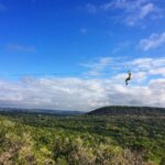 wimberley zipline