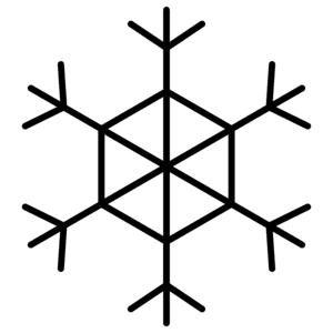 winter icon  snowflake